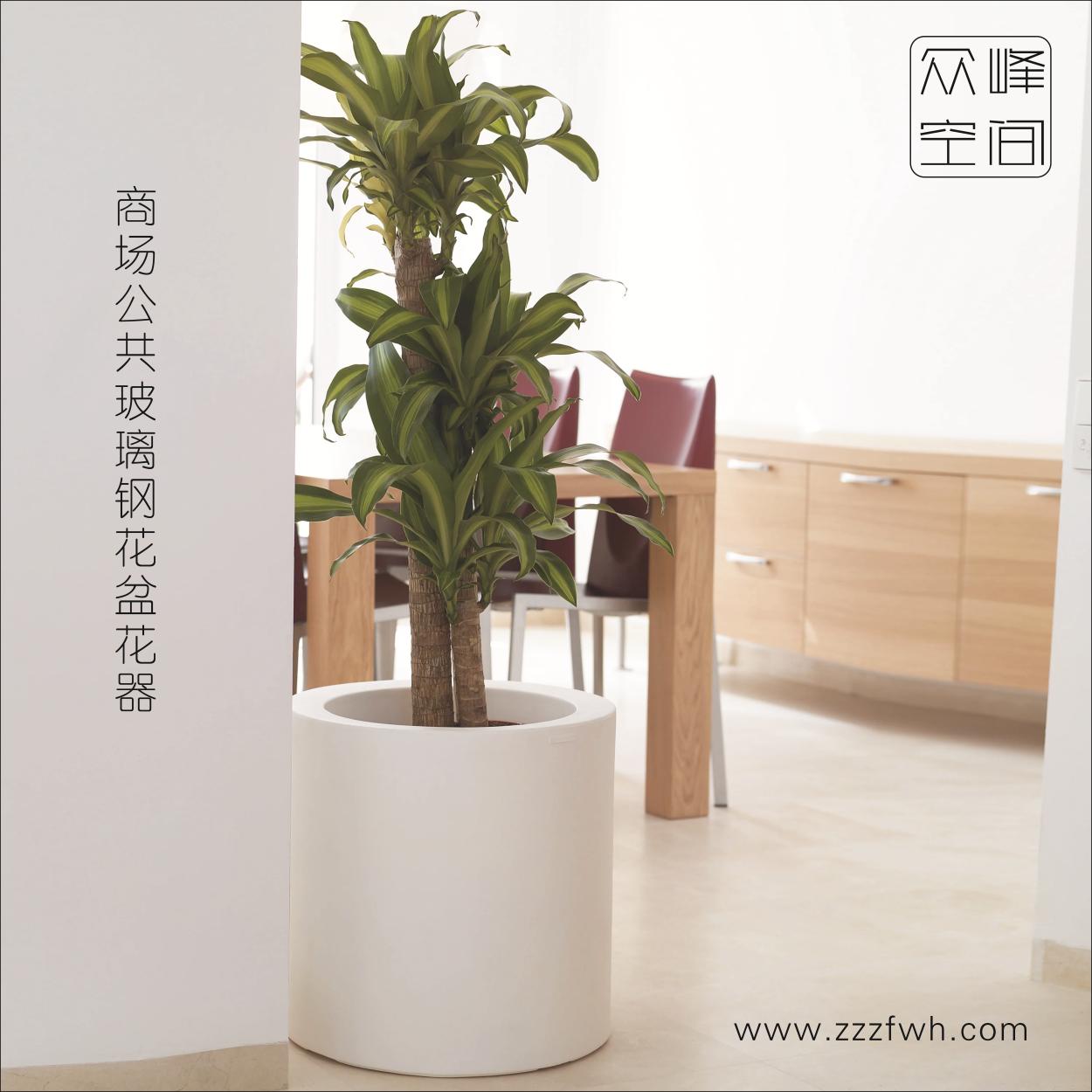 图形1.jpg
