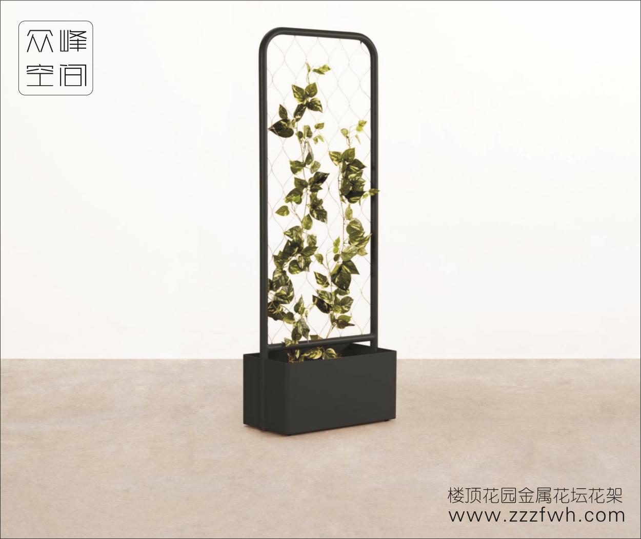 图形2.jpg