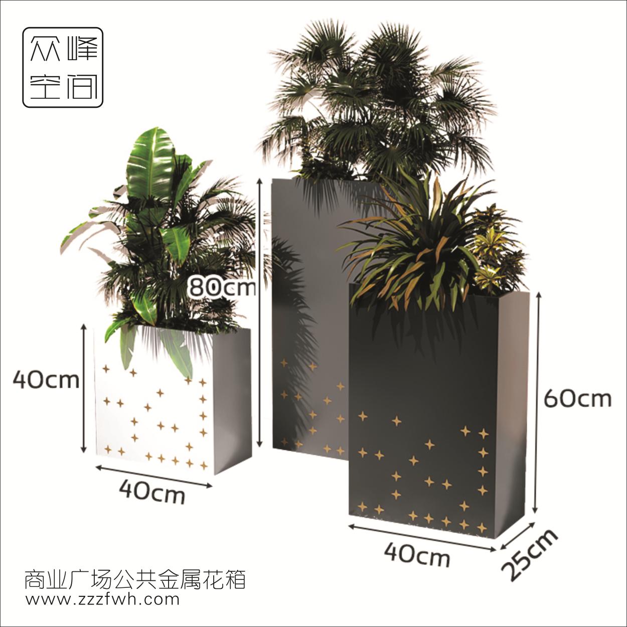图形40.jpg