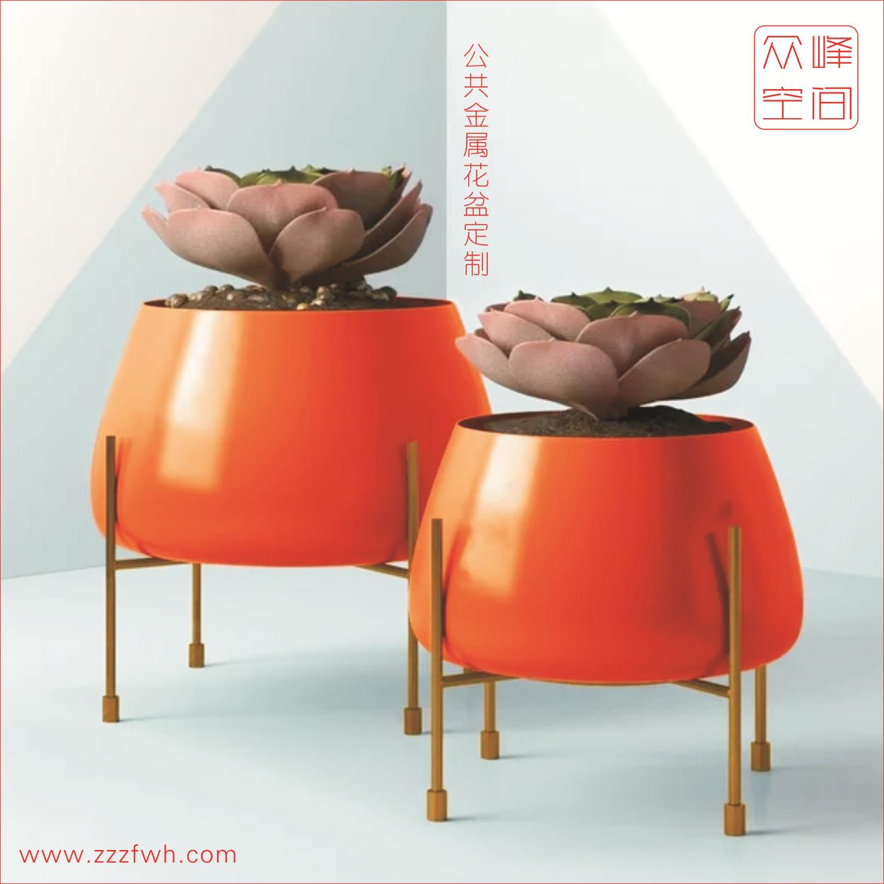 图形1.jpg